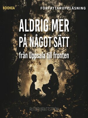 cover image of Aldrig mer på något sätt